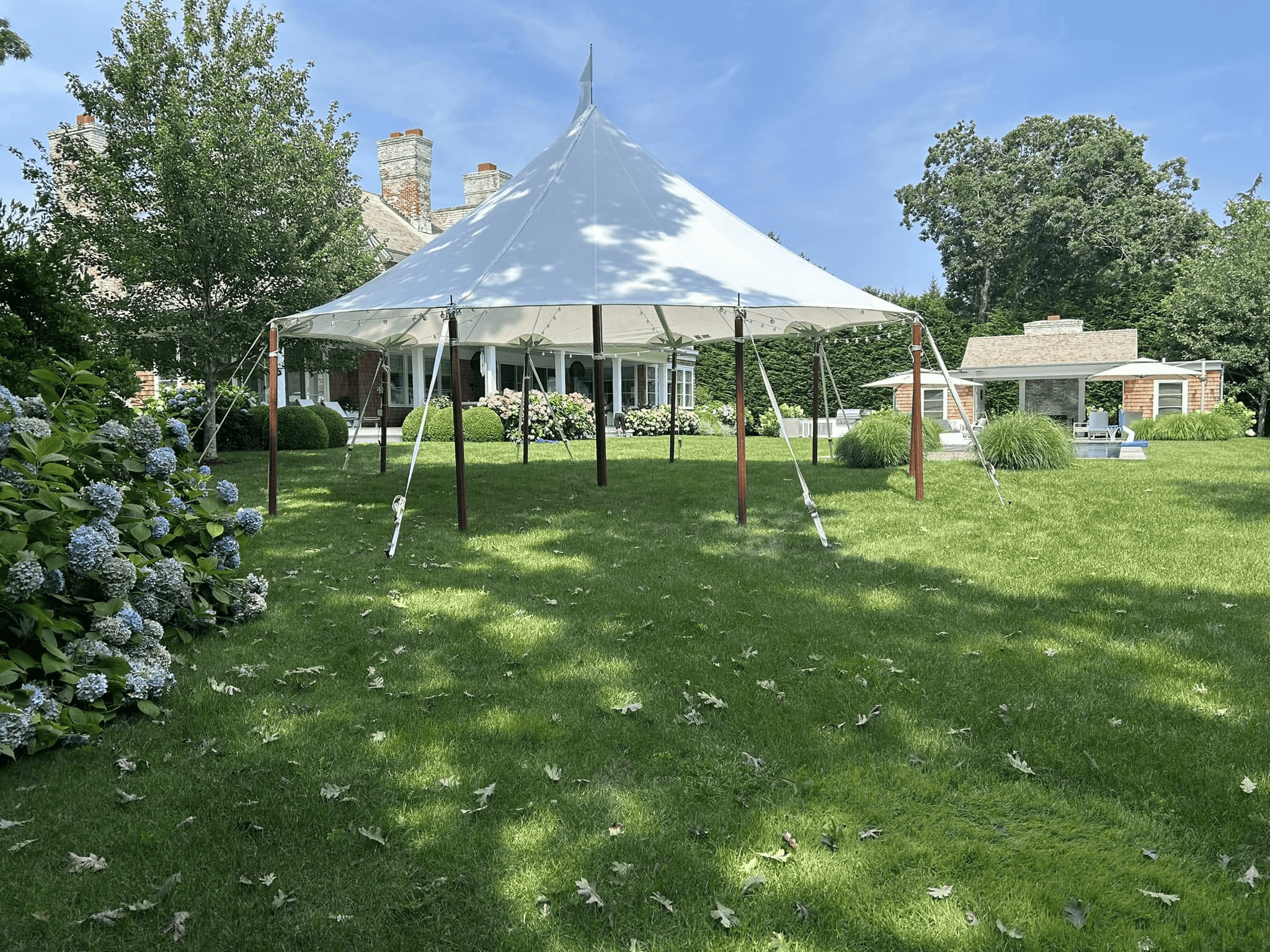 White sailcloth tent on a back lawn with hydrangeas in the foreground and the house behind it